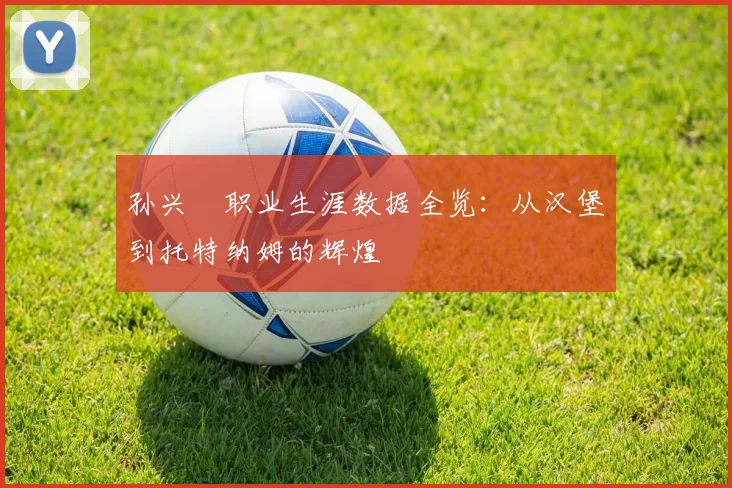 孙兴慜职业生涯数据全览:从汉堡到托特纳姆的辉煌