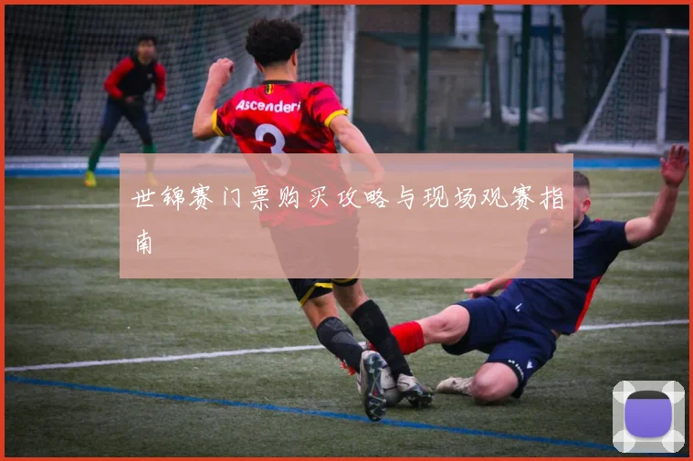 世锦赛门票购买攻略与现场观赛指南