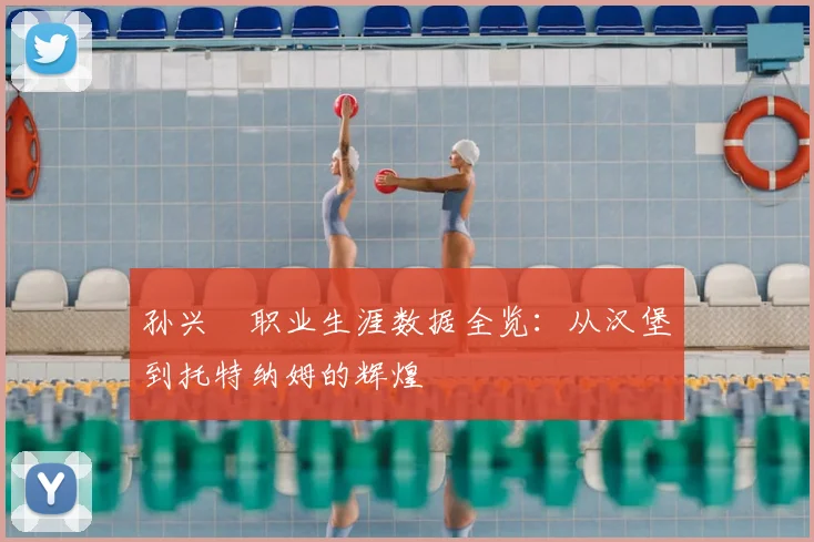 孙兴慜职业生涯数据全览:从汉堡到托特纳姆的辉煌