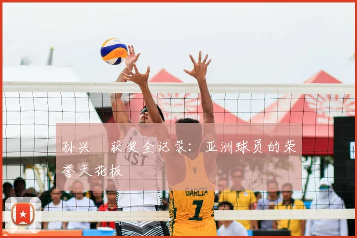 孙兴慜获奖全记录:亚洲球员的荣誉天花板